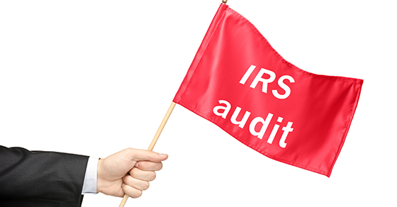 IRS Audit Techniques Guides provide clues to what may come up if your business is audited Image