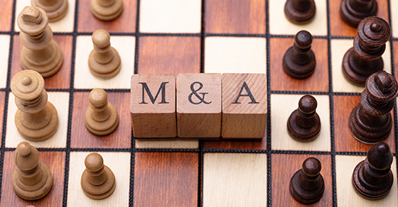 Deciding whether a merger or acquisition is the right move Image