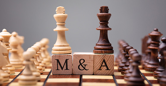 Understanding how taxes factor into an M&A transaction Image