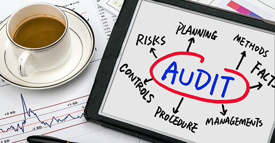 Demystifying the audit process Image
