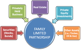 Family Limited Partnership Discounted Gifting May Soon Be Coming to an End Image
