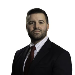 Michael Almeida - Strategic Assurance Solutions